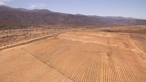 Unsustainable agriculture combined with changing weather patterns can lead to arable land losing its ability to produce crops rapidly. This photo shows degraded land in South Africa during the worst drought in living memory. The farmer did an attemp…