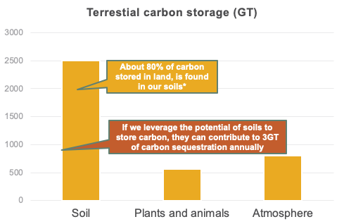Breakdown of terrestrial carbon storage. Graph by Grounded. Source of data: Nature
