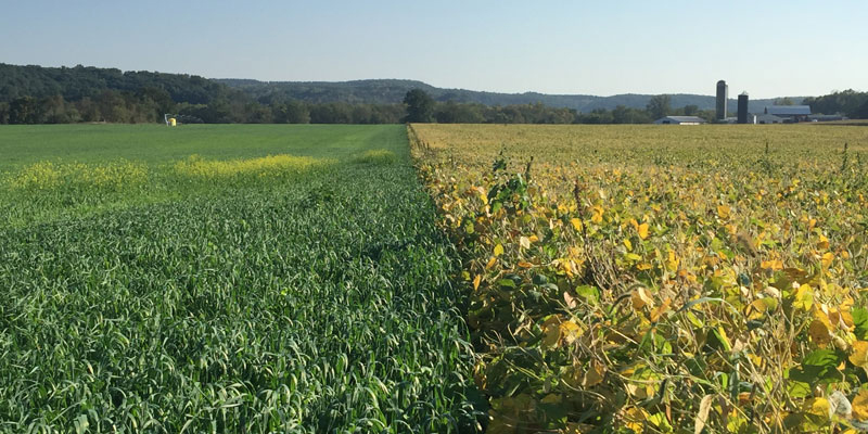 General Mills aims to support the use of regenerative agriculture practices on one million acres of farmland by 2030.